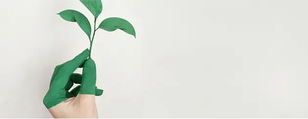 Main recouverte d'une peinture verte tenant une plante verte