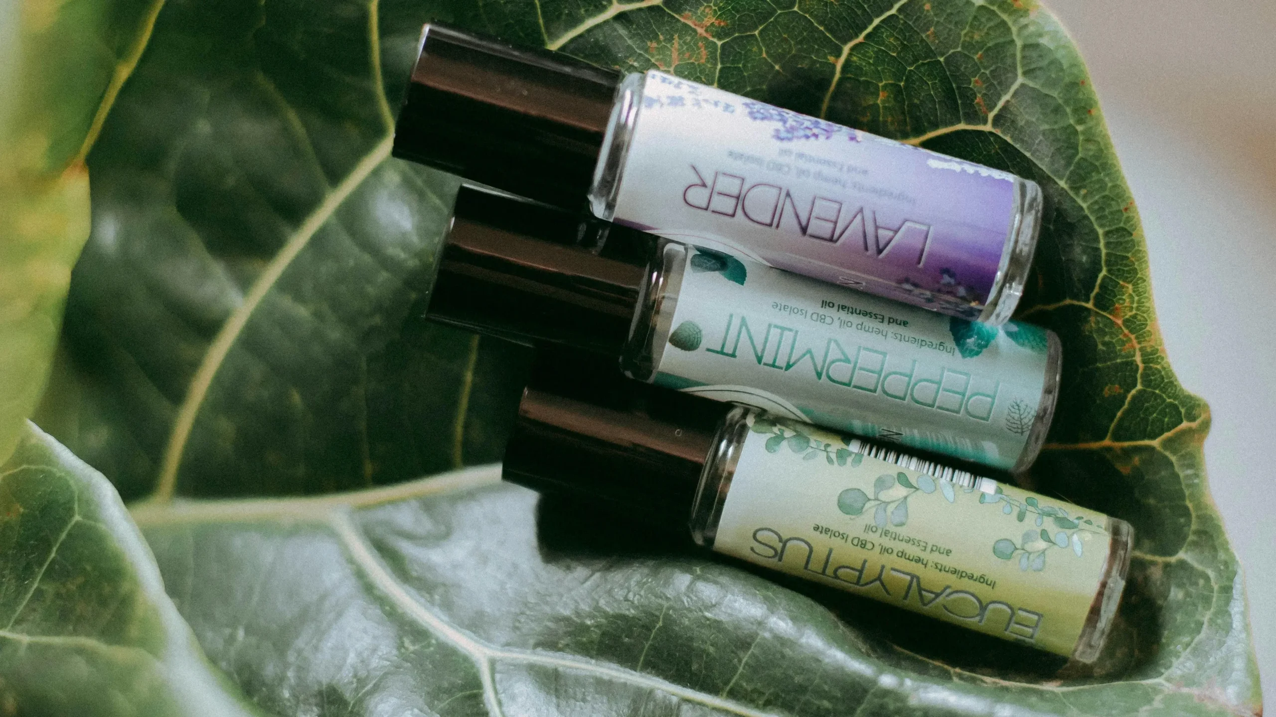 Trois bouteilles d'huile essentielle sur une feuille