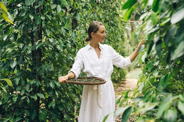 Femme en robe blanche qui récolte ses cultures