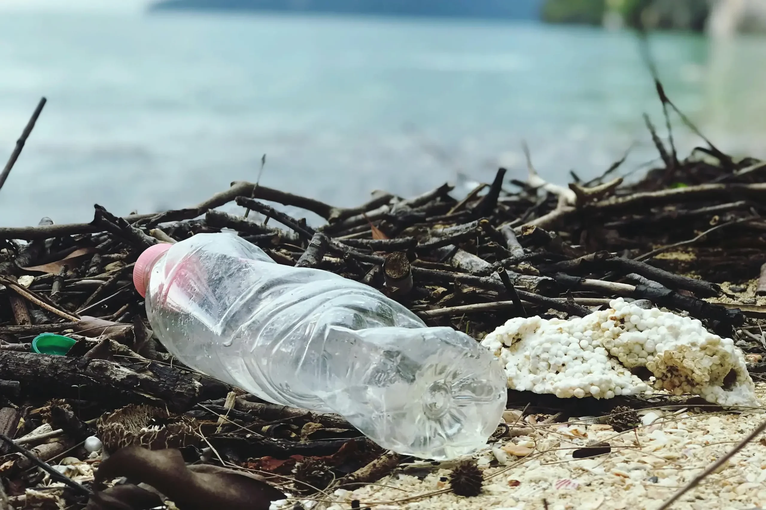 Déchets plastiques sur une plage